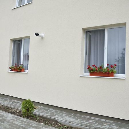 Ana Cristina Apartament Сигишоара Экстерьер фото