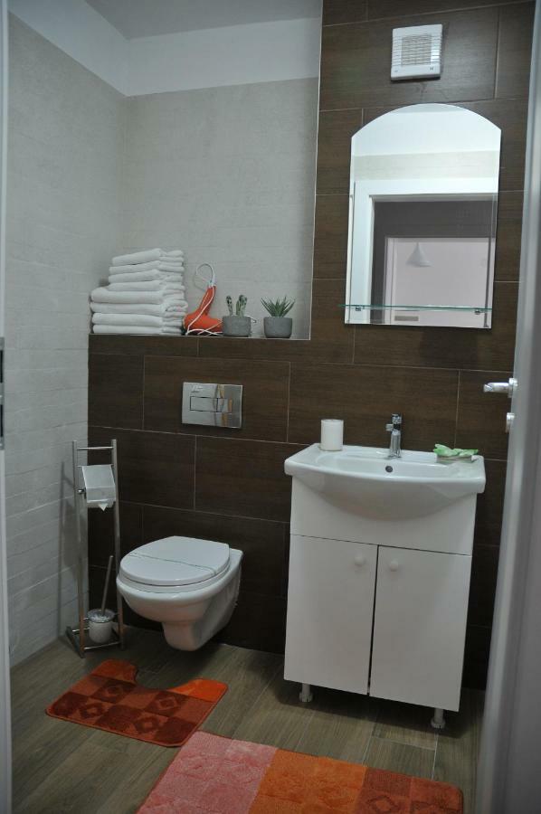 Ana Cristina Apartament Сигишоара Экстерьер фото